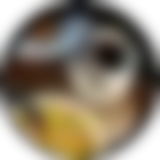 Foto de perfil borrada